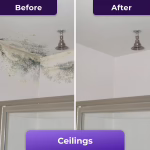 PurioClean image