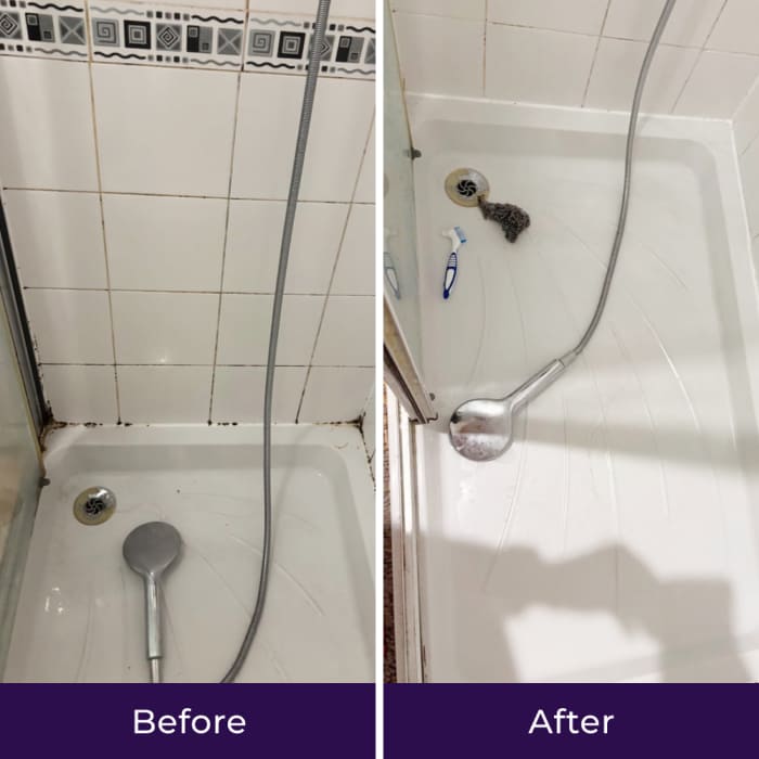 PurioClean image