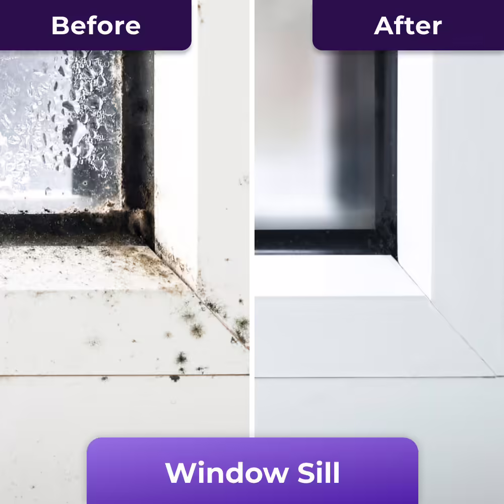 PurioClean image