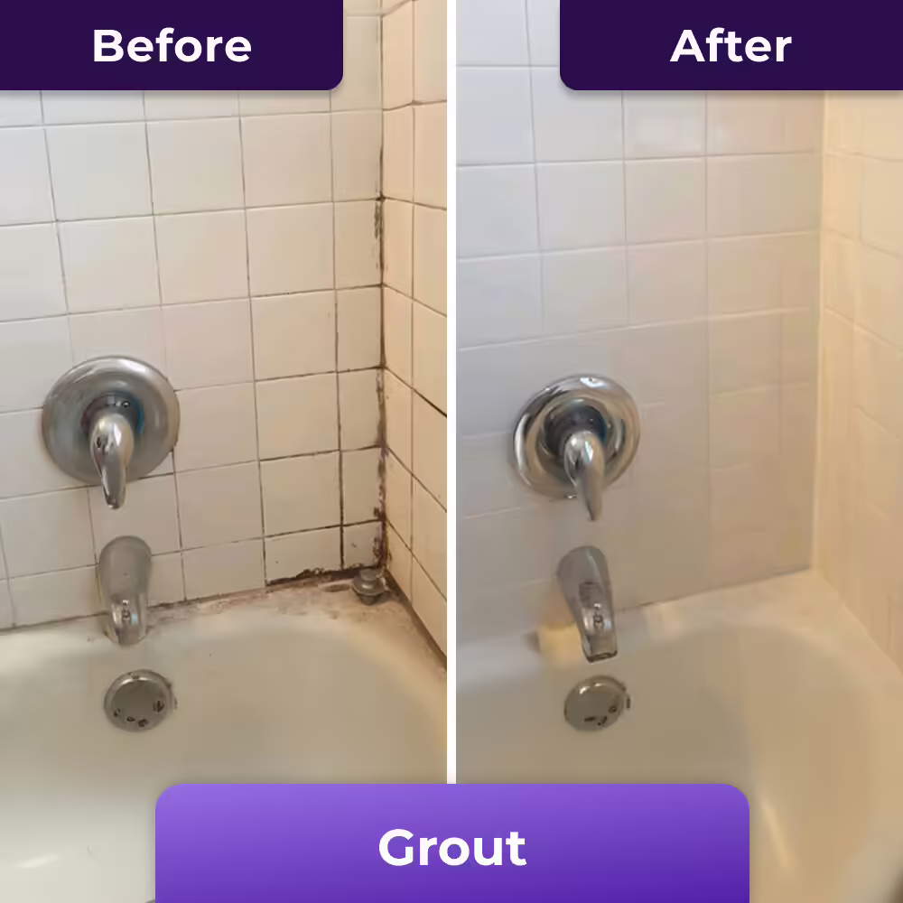 PurioClean image