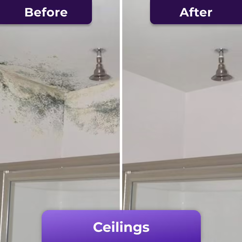 PurioClean image